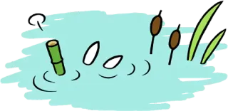 🏊 c26b80c0 пруд, вода, природа, рогоз, бамбук, иллюстрация whatsapp sticker