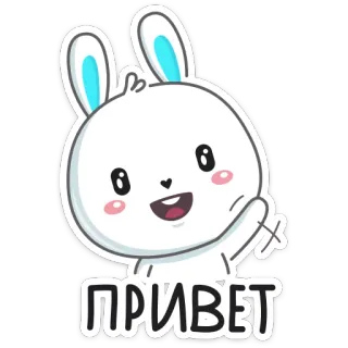 👍 d7246ffb ПРИВЕТ bunny, greeting, hello, cute, cartoon telegram sticker