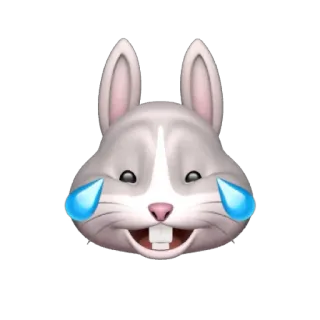 🐰 30ffc37a lapin, emoji, rire, pleurer, animal, lapin whatsapp sticker
