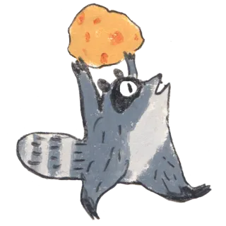 🥞 867b63ff guaxinim, queijo, animal, fofo, desenho animado telegram sticker