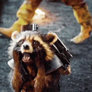 Rocket Raccoon @freetopsticker telegram stickers