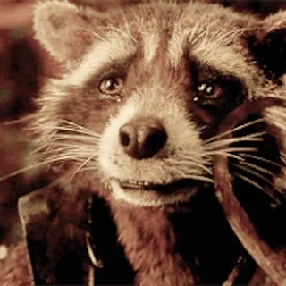 🥲 e99709db Rocket Raccoon Guardians of the Galaxy ロケットラクーン, ガーディアンズオブギャラクシー, 悲しい, 泣く, マーベル telegram sticker