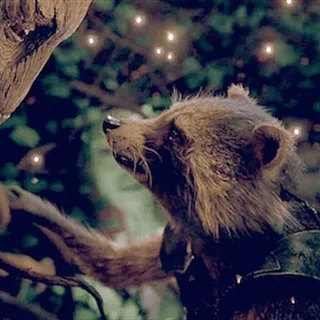 🥺 f357984c Rocket Guardians of the Galaxy アライグマ, ロケットラクーン, マーベル, ガーディアンズ・オブ・ギャラクシー, 動物, かわいい telegram sticker