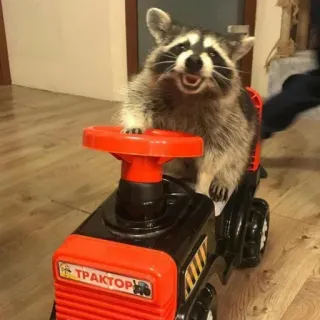 🚜 8bdff8ee ТРАКТОР szop pracz, traktor, zwierzę, słodki, zabawka, pojazd telegram sticker