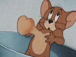 @rahaajavan whatsapp stickers