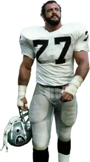 🤨 596c9a52 sepak bola, atlet, olahraga, pemain, Raiders, sepak bola Amerika telegram sticker