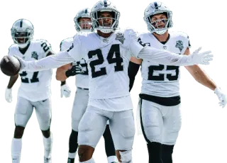 RaidersITALIA whatsapp stickers