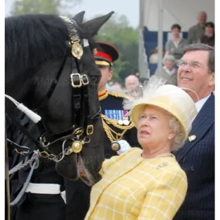 🤨 1d66a545 Queen Elizabeth II reine, Élisabeth II, famille royale, cheval, uniforme militaire telegram sticker