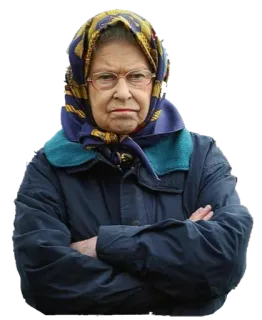 🤨 aa5cfb56 grand-mère, vieille femme, sérieuse, foulard, personne âgée, femme telegram sticker