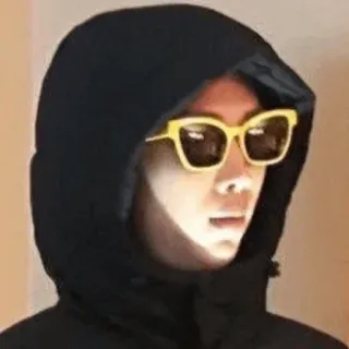 😎 d239d7ed 人, 帽衫, 太阳镜, 肖像 whatsapp sticker