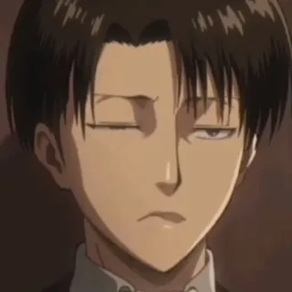🖕 b2511ab1 Levi Ackerman Attack on Titan anime, manga, character, stoic, serious, Levi, Ackerman, Attack on Titan telegram sticker