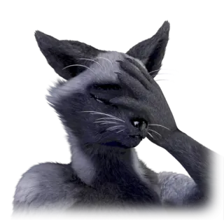 🙄 fce0a55b gato, facepalm, decepción, animal, meme whatsapp sticker