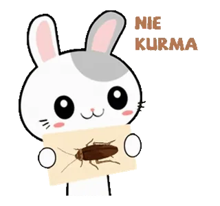 🪳 7e5886fa NIE KURWA lapin, cafard, offensant, polonais telegram sticker