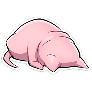 🙇‍♂️ 1c8e07eb 고양이, 분홍색, 자는, 귀여운, 동물, 고양이과 telegram sticker