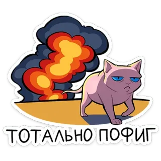 🔥 2401bf1d ТОТАЛЬНО ПОФИГ 고양이, 능글, 담배, 폭발, 무관심, 태평 telegram sticker