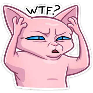 🤯 0b663f5e WTF..? kot, wtf, wyraz twarzy, mem, zszokowany, zmieszany, zły whatsapp sticker
