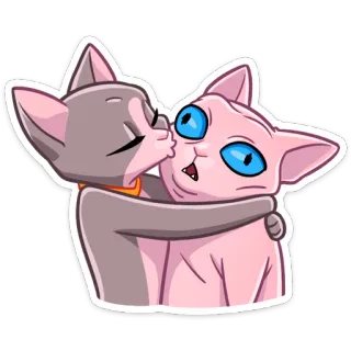 😘 6f408b0b kot, pocałunek, przytulanie, zwierzę, słodki, zwierzę domowe, naklejka whatsapp sticker