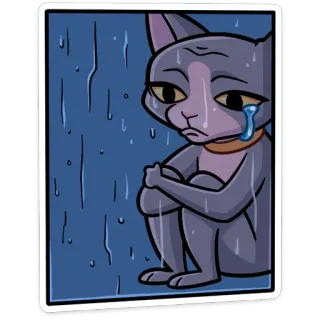 😢 9e003de2 kot, smutny, płaczący, deszcz, samotny, emocjonalny, szary kot, naklejka whatsapp sticker