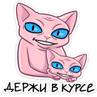 🙄 e8e463cb ДЕРЖИ В КУРСЕ kot, sfinks, śmieszne, zwierzęta, kreskówka, zwierzak whatsapp sticker