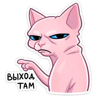 Рамзес (@TgSticker) whatsapp stickers