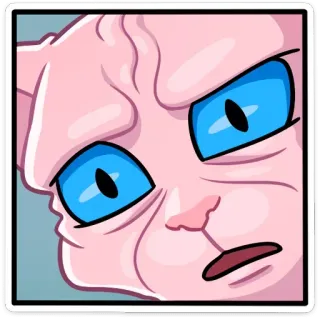 😱 3a74a5b3 화난, 스핑크스 고양이, 고양이, 애완 동물, 밈, 심술궂은 telegram sticker