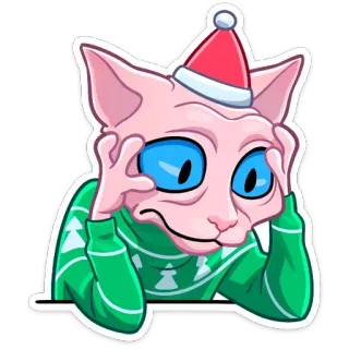 😫 be029593 고양이, 스핑크스, 크리스마스, 휴일, 산타 모자, 스웨터, 귀여운 telegram sticker