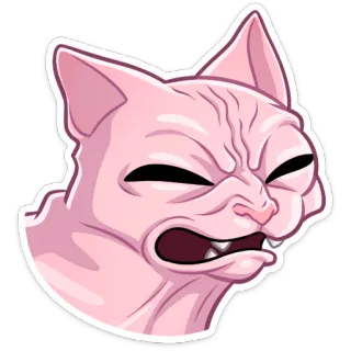 🥴 41310229 chat, sphynx, en colère, drôle, mème, animal, animal de compagnie telegram sticker