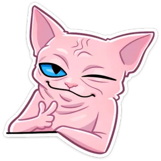 😉 6c8cdbf3 chat, sphynx, impoli, geste, drôle, mème telegram sticker