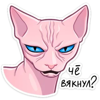 🤨 2bcc354f чё вякнул? chat, chat sphinx, drôle, mème, russe telegram sticker