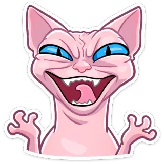 👐 34cef52c chat, sphynx, effrayant, drôle, animal, mème, fou telegram sticker