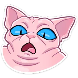 😮 39252f3d chat, sphynx, mème, drôle, choqué, animal de compagnie, animal, chat sans poil telegram sticker
