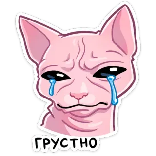 😥 72065924 ГРУСТНО chat, triste, pleurs, sphynx, animal, sticker, émotion telegram sticker