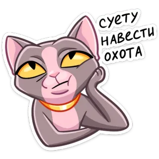 😊 61f68f94 суету навести охота 猫, ミーム, ロシア, 面白い, 動物, ステッカー telegram sticker