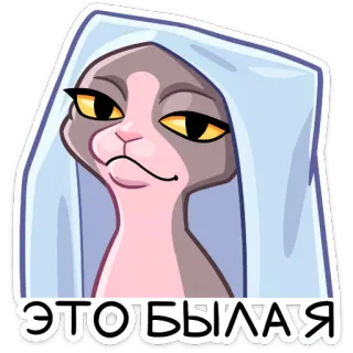 ☺️ 757b7ab8 ЭТО БЫЛАЯ 猫, スフィンクス, 面白い, ミーム, 漫画, 動物 telegram sticker