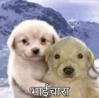 𝐇𝐈𝐍𝐃𝐈 𝐀𝐍𝐈𝐌𝐄 | @fhrdrct telegram stickers