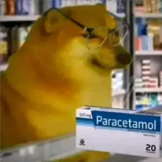 🤙 845f0ed8 Paracetamol doge, meme, medicina, paracetamol, perro, cheems telegram sticker