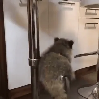 🥲 c0a9a014 telegram sticker