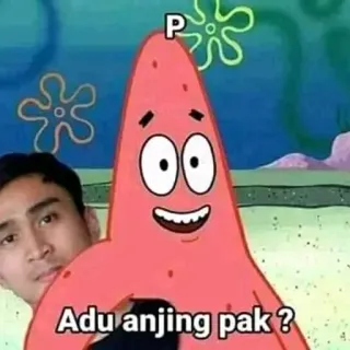 🥵 6f670690 Patrick Star Spongebob Squarepants Adu anjing pak ? spongebob, patrick, cartoon, meme, hond, grappig telegram sticker