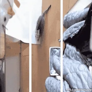 @stickermaze | Random 3D whatsapp stickers