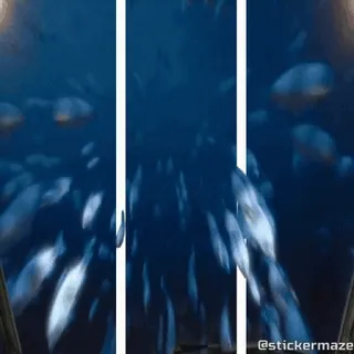 🦈 7ca41516 stickermaze stiker, air, laut telegram sticker