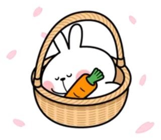 😴 da12a296 coelho, coelhinho, cenoura, cesta, fofo, kawaii, dormindo telegram sticker