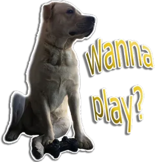 rapdog66 telegram stickers