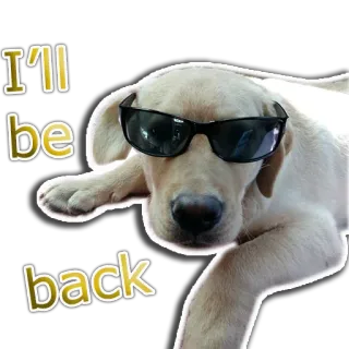 😎 77566e0c I'll be back หมา, แว่นกันแดด, เท่, ฉันจะกลับมา telegram sticker