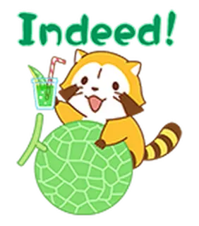 🍈 dcf4cf73 Indeed! tanuki, rakun, melon, minuman, imut, binatang telegram sticker