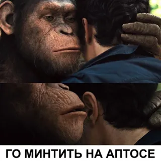 😋 3d2b097b ГО МИНТИТЬ НА АПТОСЕ singe, câlin, humain, crypto, mint whatsapp sticker