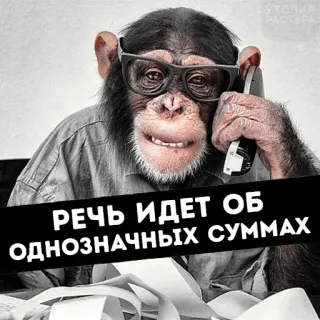 🤓 61ec34bb РЕЧЬ ИДЕТ ОБ ОДНОЗНАЧНЫХ СУММАХ singe, parler, finance, calculs, conversation whatsapp sticker