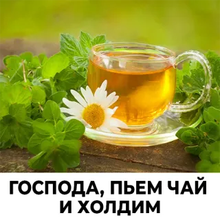 😇 62b9c6a6 ГОСПОДА, ПЬЕМ ЧАЙ И ХОЛДИМ thé, tasse, camomille, tisane, boisson, relaxation whatsapp sticker