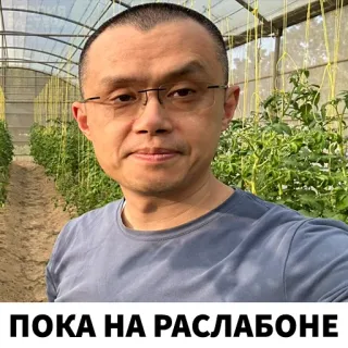 😌 78297238 ПОКА НА РАСЛАБОНЕ homme, lunettes, décontracté, détente, jardin whatsapp sticker