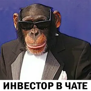 😎 e6852b79 ИНВЕСТОР В ЧАТЕ singe, investisseur, chat, costume, lunettes de soleil, singe, mème whatsapp sticker