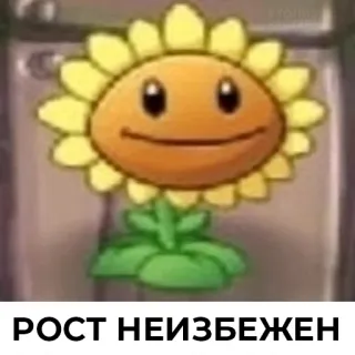 🙂 e9f81a33 РОСТ НЕИЗБЕЖЕН Plants vs Zombies, Tournesol, Jeu vidéo, Croissance, Russe whatsapp sticker